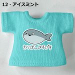 画像14: カスタムカラー プリントTシャツ【サカバンバスピス】 (14)