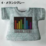 画像6: カスタムカラー プリントTシャツ【イコライザー】 (6)