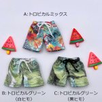 画像2: 海パン【トロピカル】 (2)