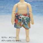 画像10: 海パン【トロピカル】 (10)