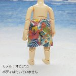 画像11: 海パン【トロピカル】 (11)